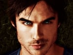 Ian Somerhalder