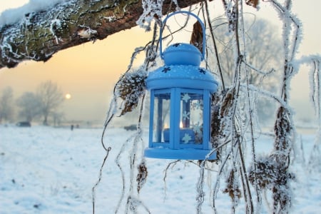 Beauty Of Winter - branches, moon, ice, sky, candle, trees, light, winter, cold, lantern