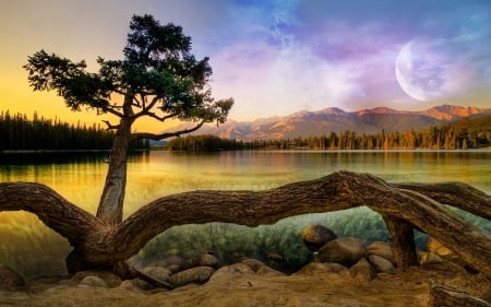 Kiss By Nature - clouds, trees, water, grass, forest, reflection, stars, lake, mountains, full moon, sky, rocks