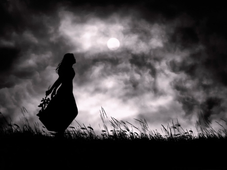 My Loneliness - woman, silhouette, sky, music, black, fantasy, dark, moon, lady, girl, night, black and white, nature, abstract, splendor, violin, flower