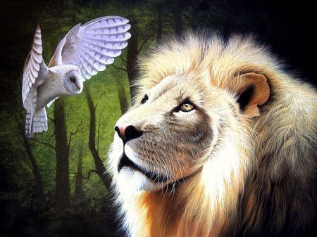 Friend of the Mind - lions, wildlife, draw and paint, animals, elegant, lovely, creative pre-made, love four seasons, beautiful, paintings, owl, colors, birds