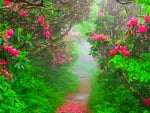 Natures Path