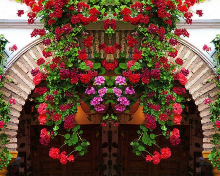 Flower Gate - flowers, gate, door, bloom