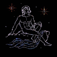 Zodiac ~ Aquarius