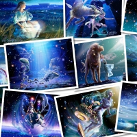 Kagaya Zodiac