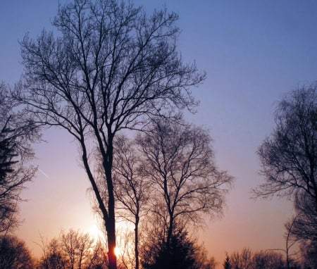 Sunset - sunlight, trees, blue, photography, sunsets, tree, sunset, nature, sun, sky