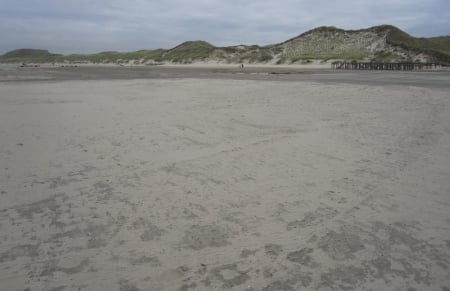 Beach - clouds, nature, beach, beaches, photography, grass, sand, sky