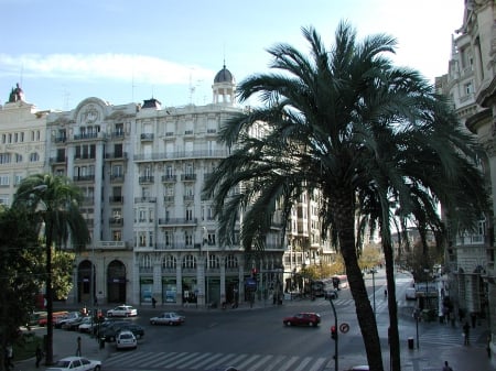 Beautiful Cityscape - palms, cityscapes, architecture, streets