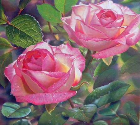 For my  friend  Alexandra (Alexandra 66) - roses, beautiful, photography, beauty, lovely, petals, pink, natural, flowers, soft, natura