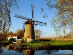 Windmill Landscape