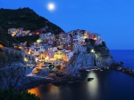 Manarola, Italy under a Full Moon