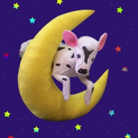 Mooooooooooo....n.... (for Kate/Sparky :D)