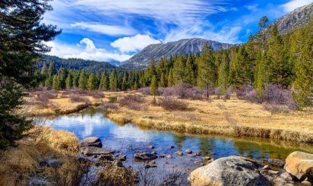 Mountains - mountains, forest, pond, rocks