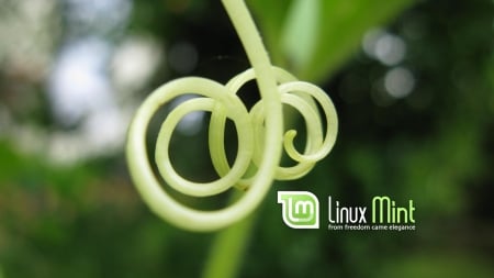 Linux Mint - linux, pc, mint, linux mint