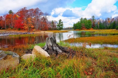 Autumn Landscape - fall, trees, river, water, leaves, colors