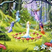 Fairy Forest