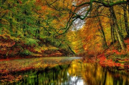 River in autumn forest - trees, beautiful, colors, forest, reflection, fall, river, nature, autumn, serenity