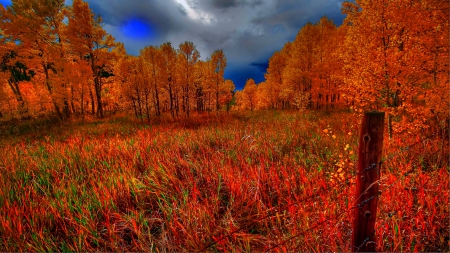 Beautiful Autumn Landscape - hdr