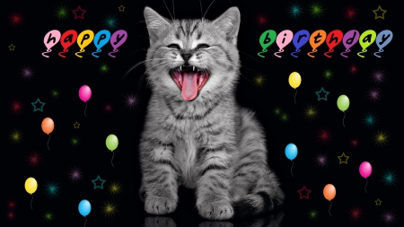 Happy Birthday! - Luna, by carmencitazapacita, balloons, stars, cat, birthday