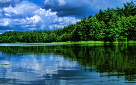 Reflecting Lake - clouds, trees, water, blue, forest, reflection, white, nature, green, bright, lake, day, sky