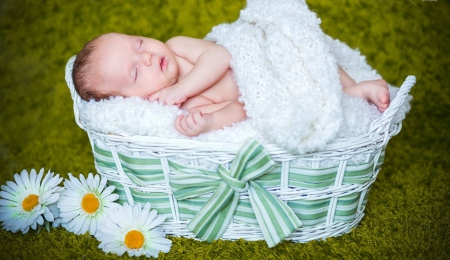 Sweet Angel - flowers, cute, sleeping, baby