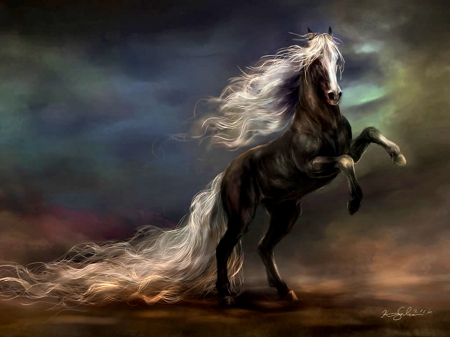 BLACK HORSE - abstract, black, fantasy, splendor, sky