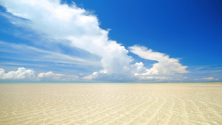 Endless Shoreline - nature, beaches, shore, sand