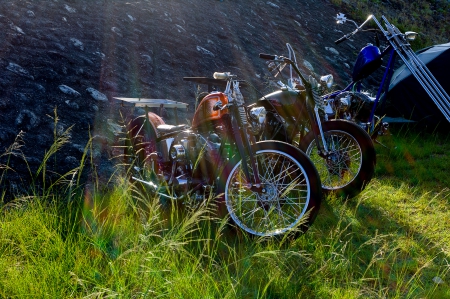 Tall Grass - bike, motorcycle, chopper, harley