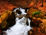 Waterfall in Autumn Forest