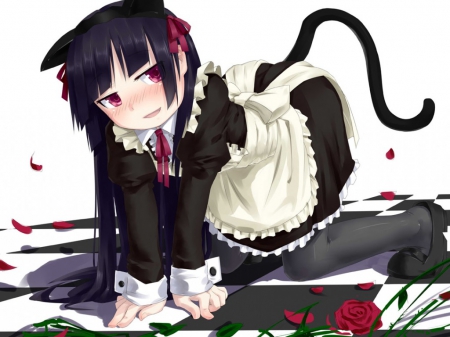 MAID - tail, sexy, cat girl, long hair, maid, lovely, black hair, dress