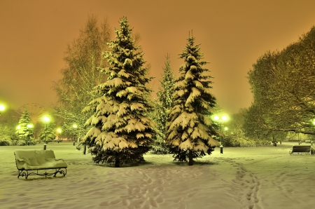 Evening Snow - ferris wheel, trees, winter, park, bench, evening, cold, snow, snowing, pine trees, lights