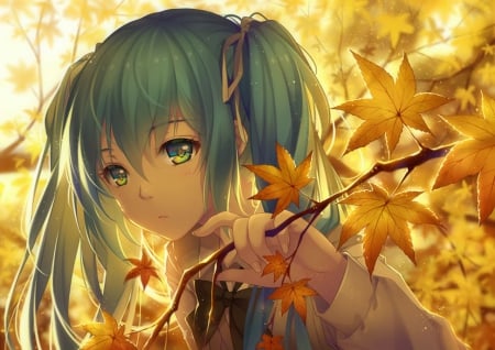 Autumn - pretty, anime, vocaloid, twin tail, female, miku hatsune, twintail, scene, hatsune miku, forest, green hair, leaves, autum, nice, twin tails, branches, branch, anime girl, twintails, beautiful, girl, vocalois, beauty, lovely, sweet, longahir, miku, hatsune, leaf