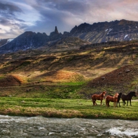 Landscape in Iceland