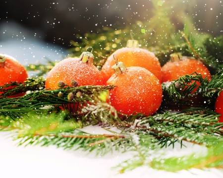 Xmas - fir tree, merry, decoration, oranges, fruit, christmas