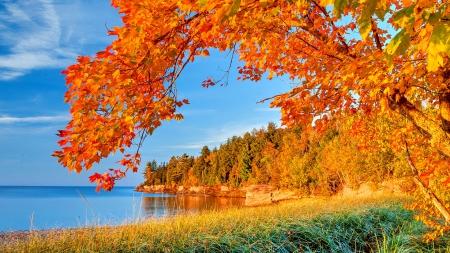 AUTUMN LAKESHORE - clouds, falls, splendor, landscape, forest, leaves, nature, autumn, lake, seasons, enchanting nature, sky