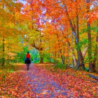 HORSE RIDING at AUTUMN