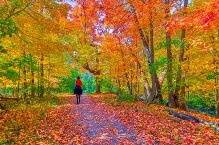 HORSE RIDING at AUTUMN - falls, splendor, landscape, forest, leaves, branche, nature, seasons, enchanting nature, forest autumn, pathway