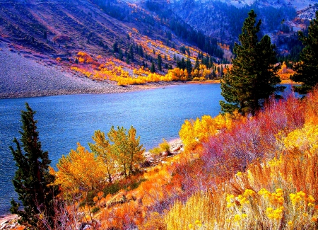 Autumn River - season, fall, hills, trees, water, leaves, colors