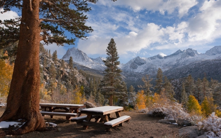 Canadian Rockies with first Snow - firs, autumn, trees, clouds, leaves, bench, colors