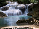 Forest Waterfall