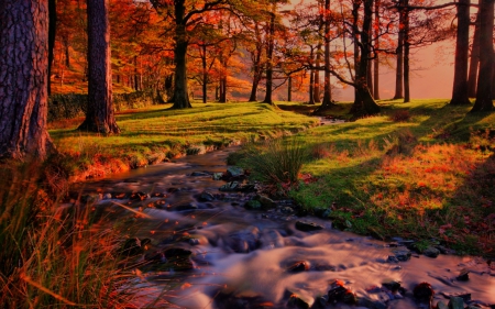 Autumn Sunset - trees, Autumn, Fall, grass, forest, leaves, river, sunset, rocks