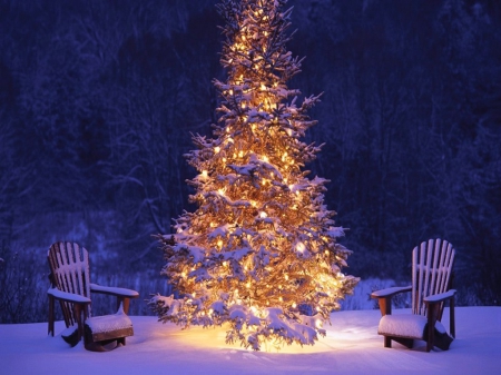 Christmas seating - winter, lights, snow, chairs, tree