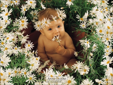 baby surrounded by flowers - flowers, adorable, cute, baby