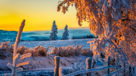 Sunset At Frozen Field - fence, trees, hills, field, sunset, snow, beautiful, fog, shrubs