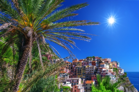 Manarola Italy - trees, cinque terre, water, town, mediterranean, landscape, sea, grass, ocean, village, homes, manarola, Italy, palm trees, waves, sun