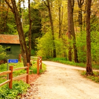 Walk in autumn park