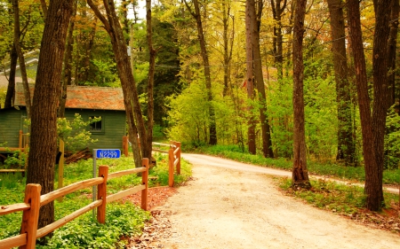 Walk in autumn park - house, trees, beautiful, forest, fence, walk, nature, autumn, serenity, oath, park