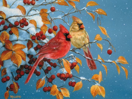 Cardinals in winter - branches, autumn, winter, painting, cardinals, nature, art, snow, beautiful, cute, birds