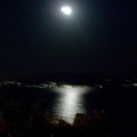 Moonlight on the sea