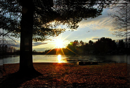 Golden pond - nature, sunset